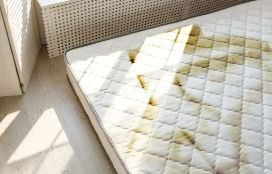 Stained and dirty mattress in a sunlit bedroom.