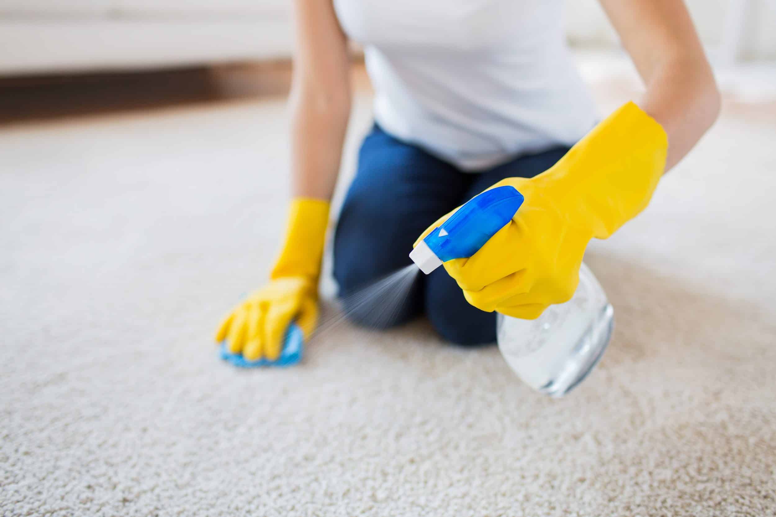 Best Homemade Carpet Cleaning Solution for Machines