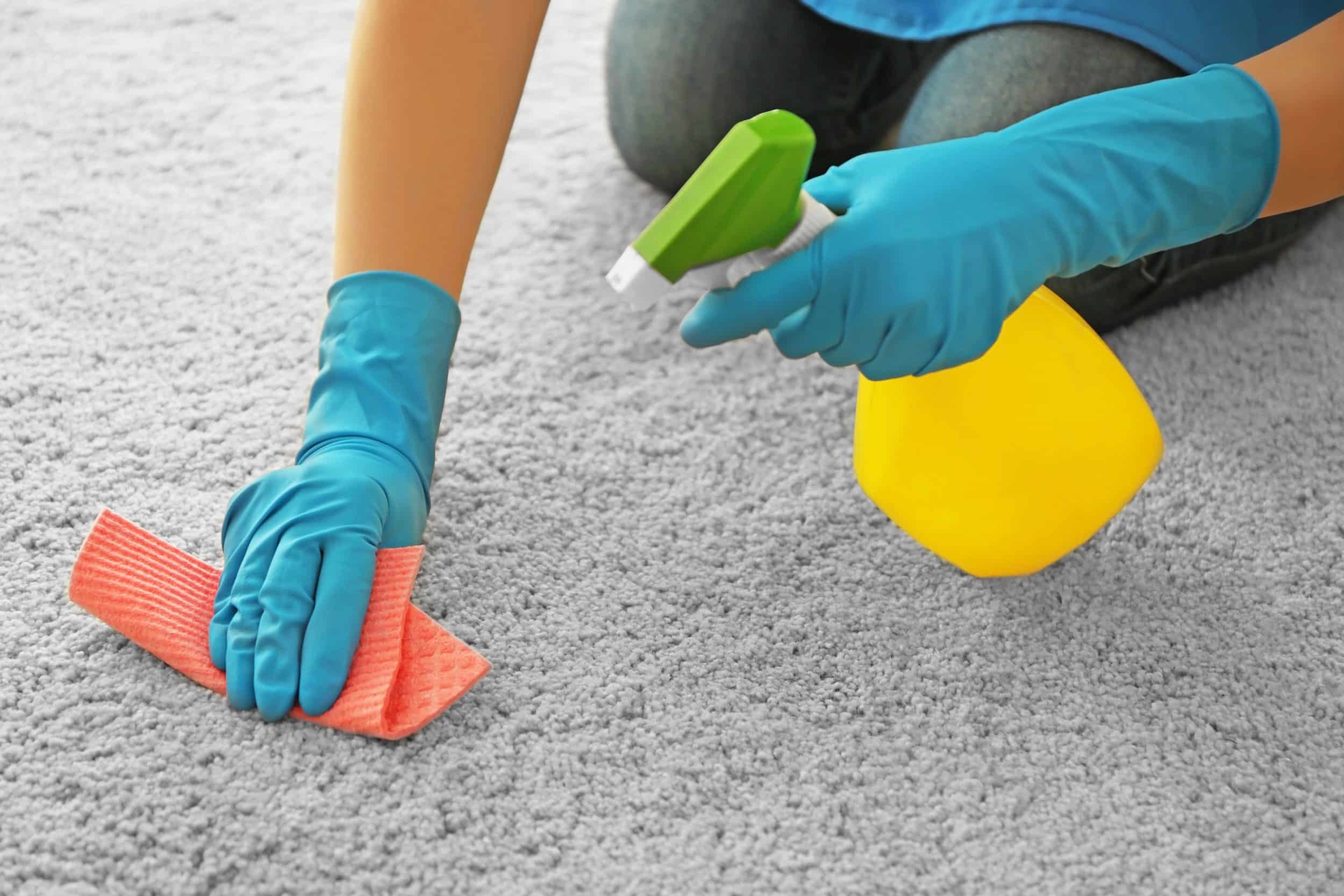 How Much Does Carpet Cleaning Cost in 2025