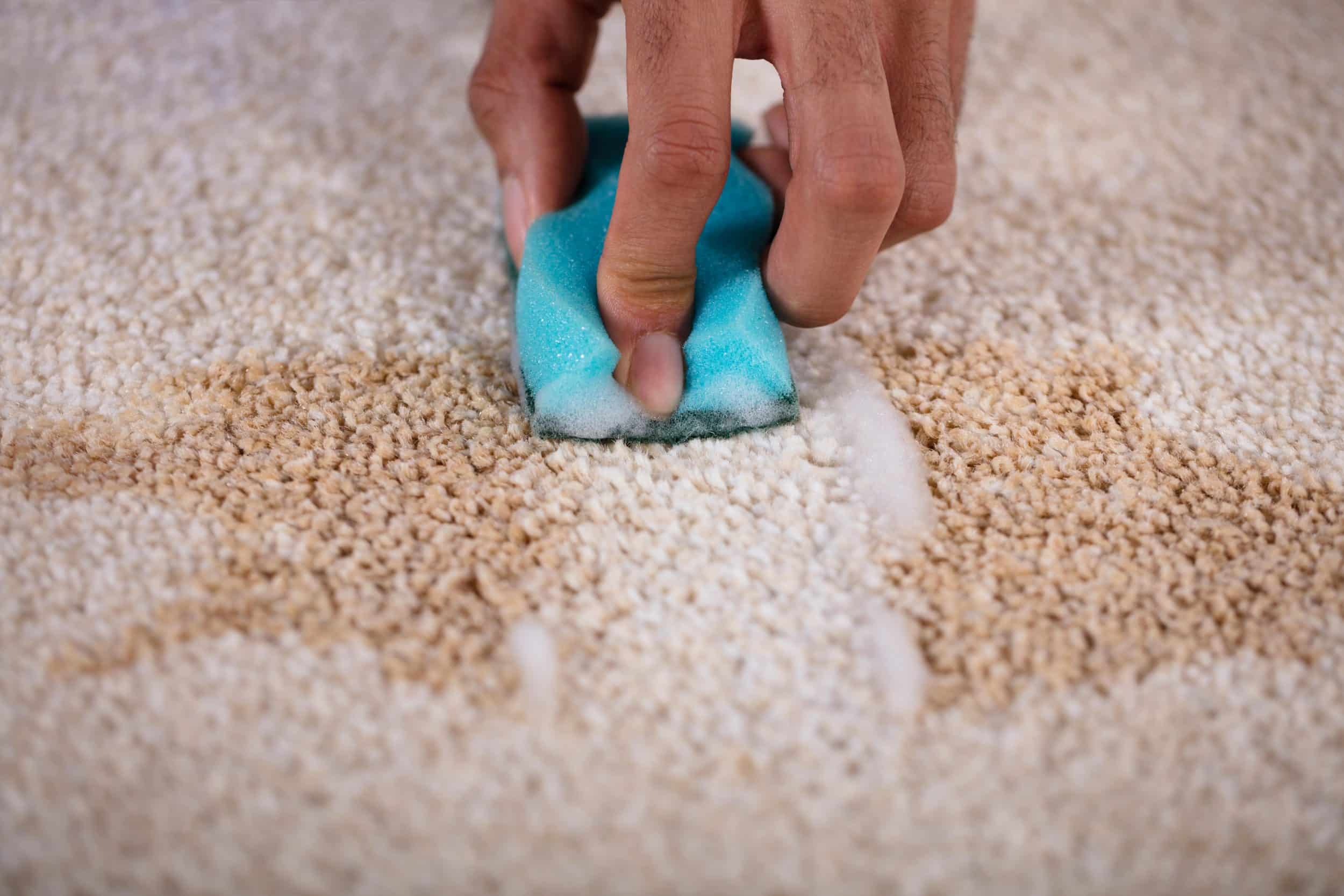 How to clean vomit from carpet