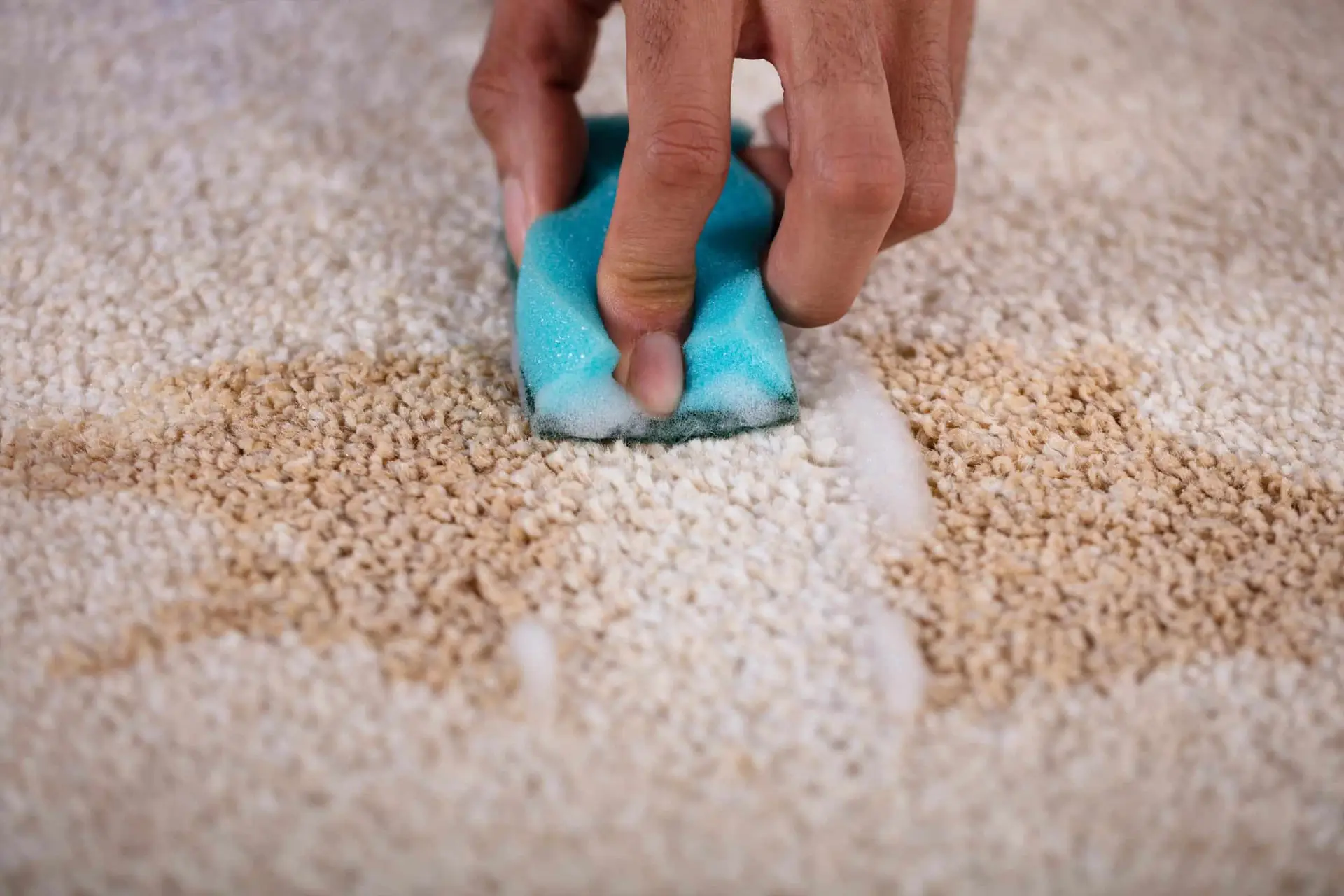 How to clean vomit from carpet
