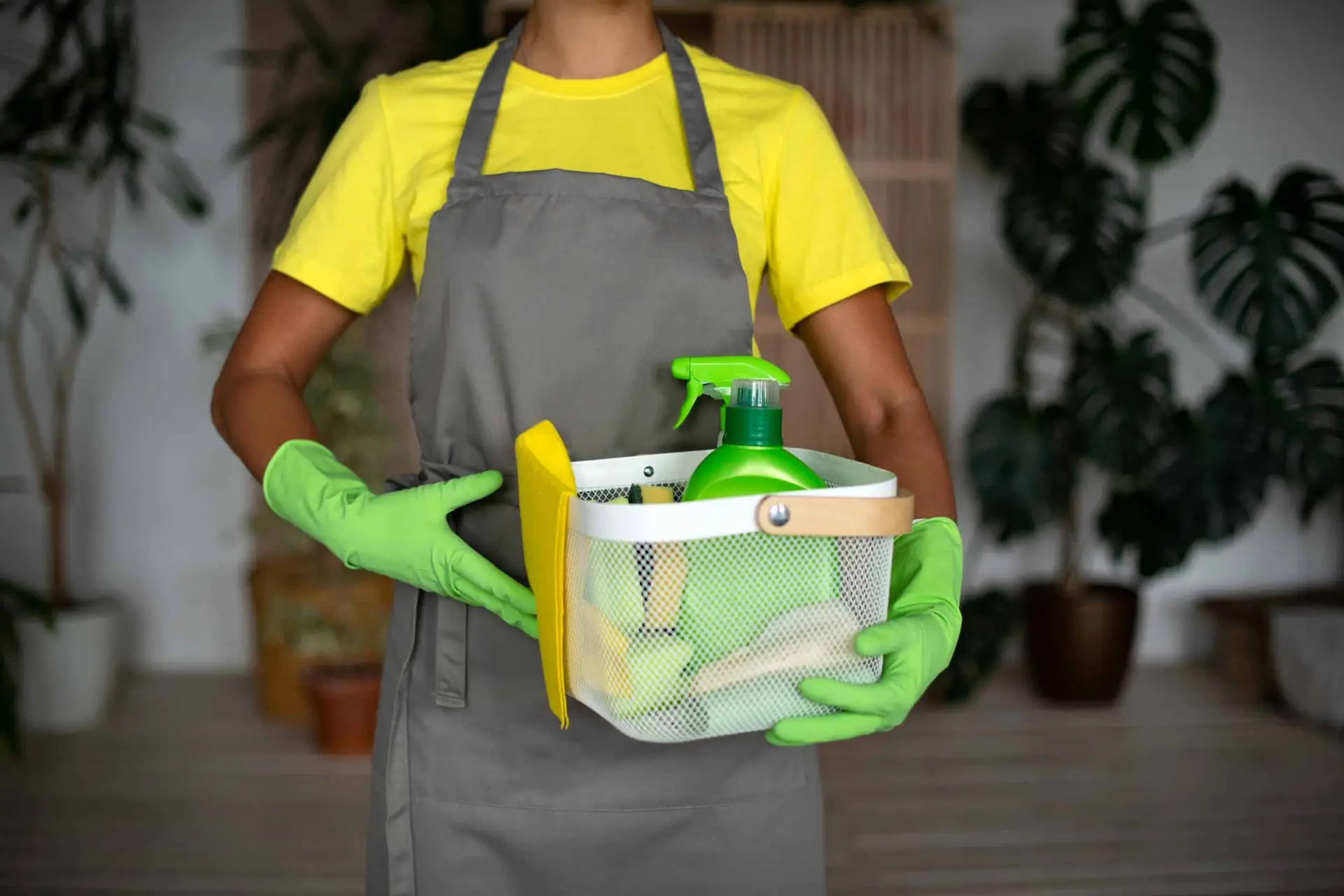 Recurring Cleaning Services in McKinney, TX