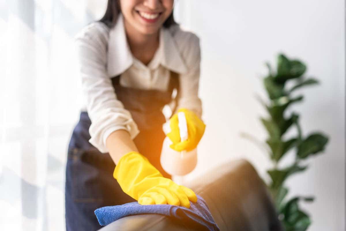House cleaning services