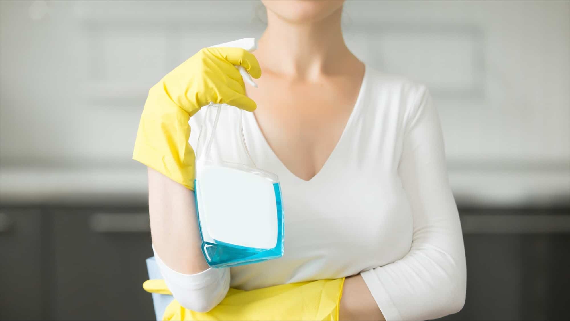 bi weekly house cleaning