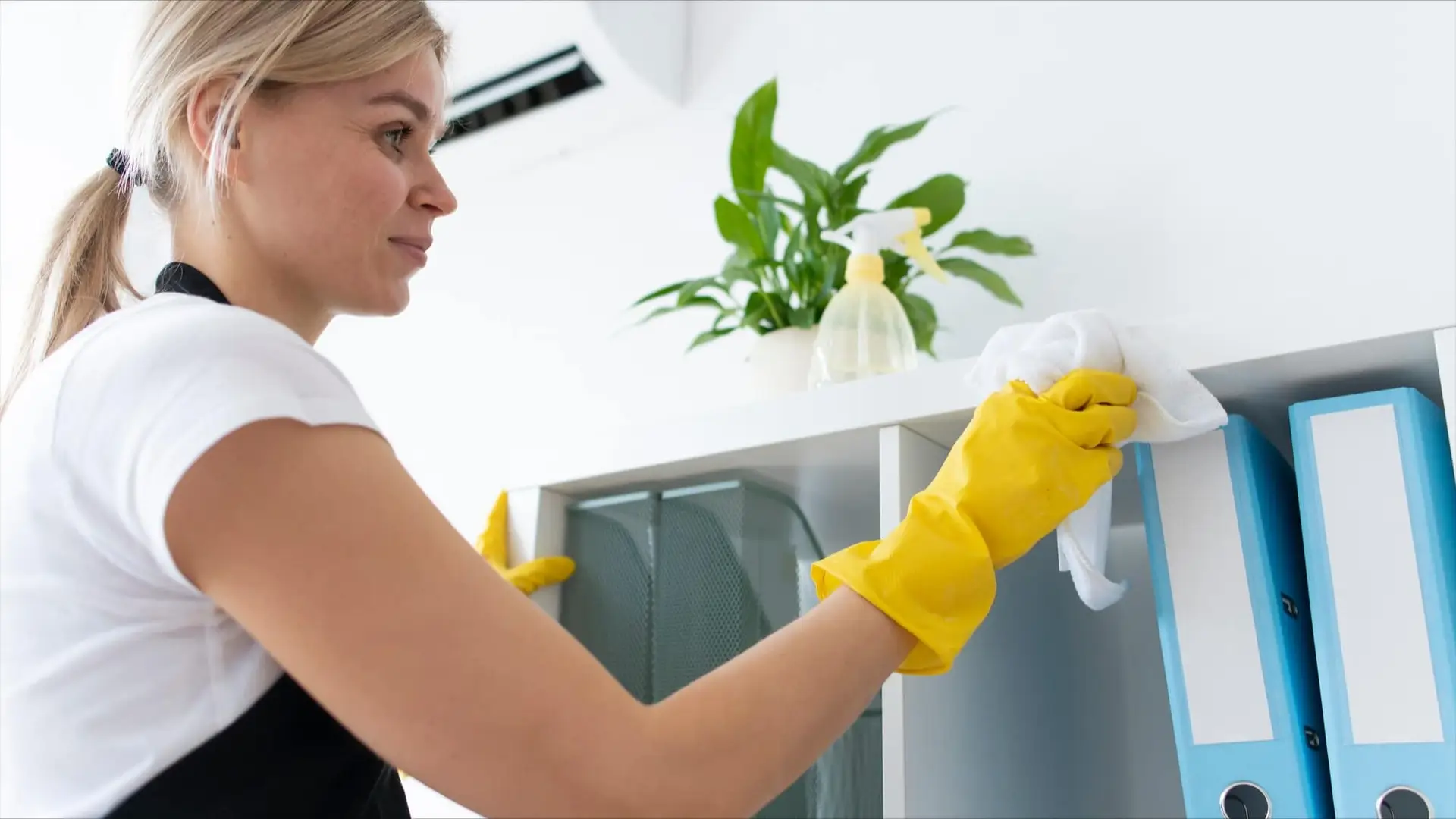 scheduled cleaning
