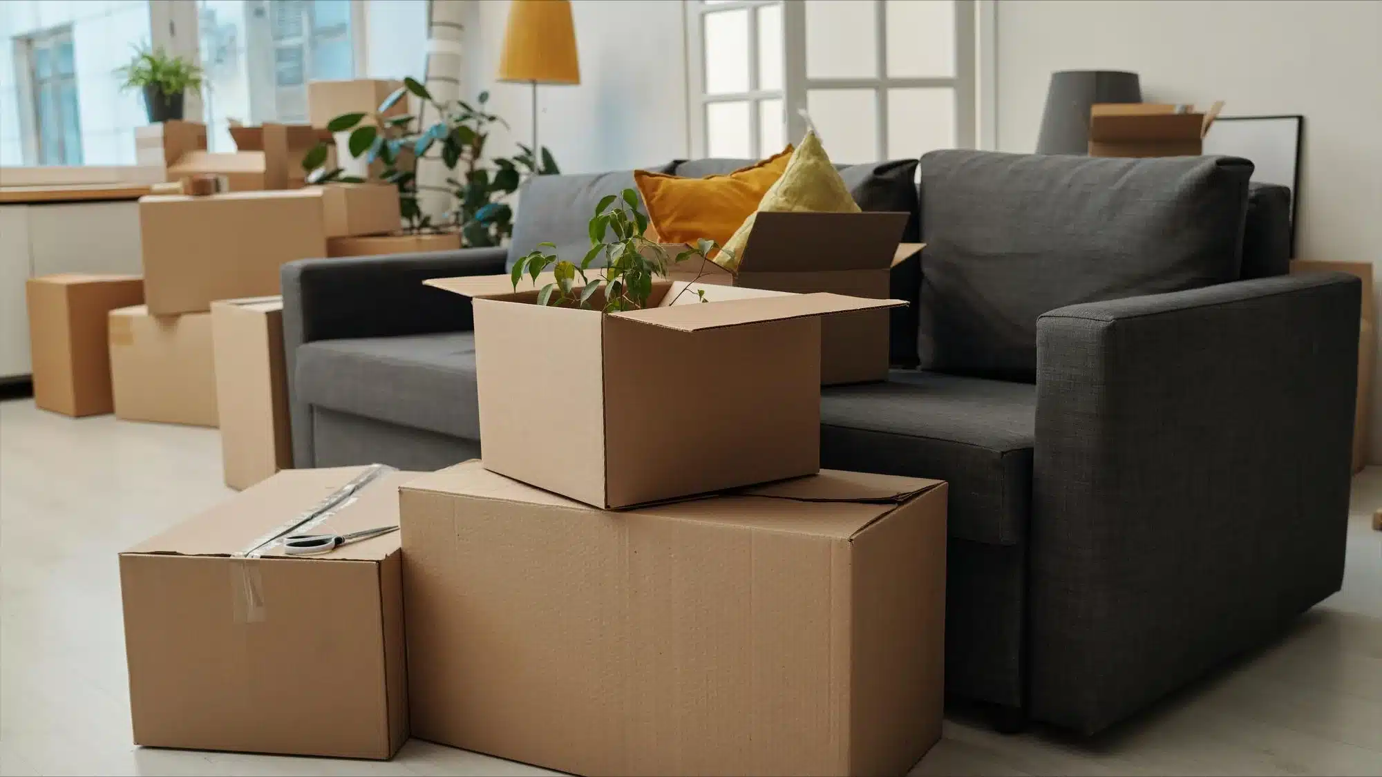 Stacked moving boxes with a plant next to a gray sofa in a living room.