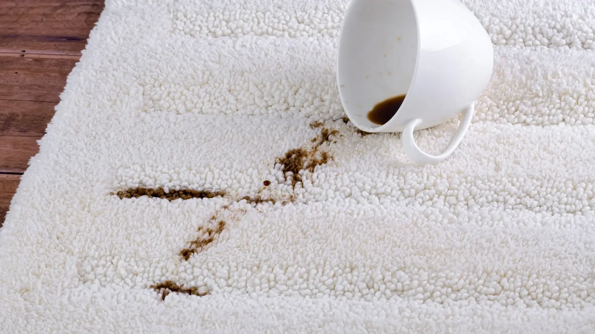 Coffee cup spilled on white carpet leaving a brown stain