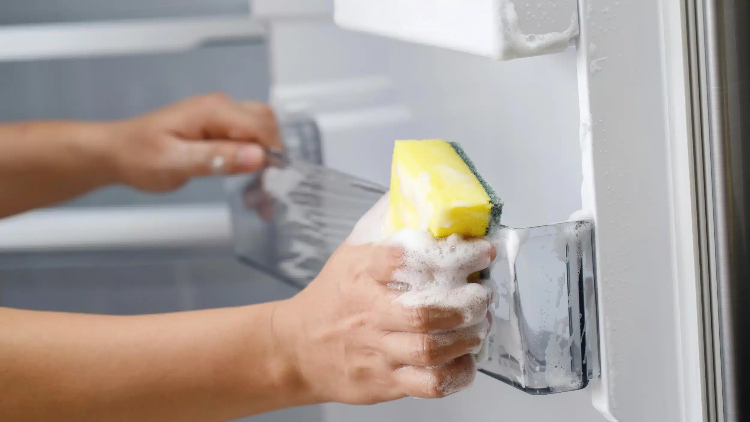 Hands scrubbing the inside of a refrigerator with a soapy sponge