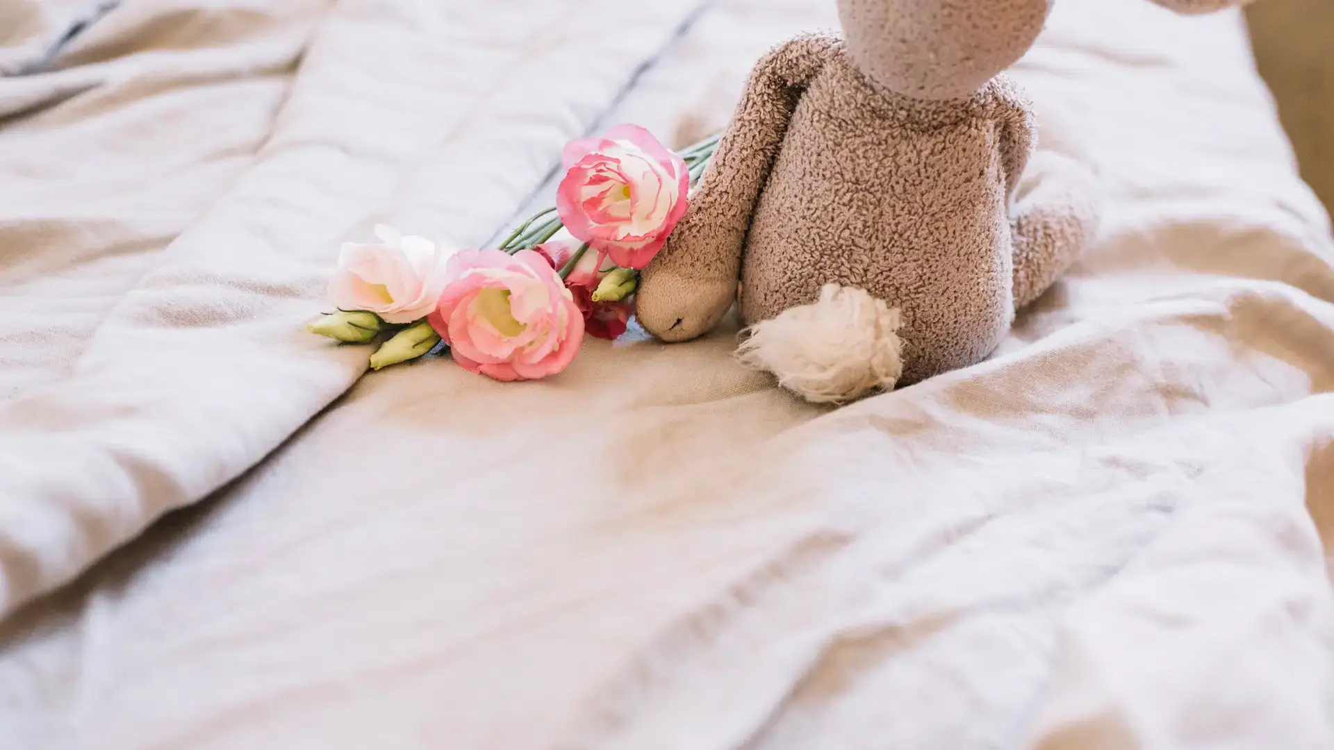 Plush rabbit toy beside pink flowers on bed