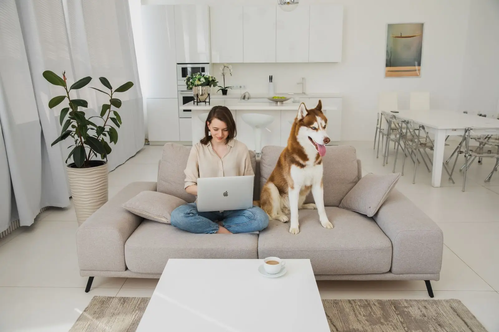 Bright modern living room with a dog on the sofa, showing why move in cleaning matters for allergies in Little Elm TX