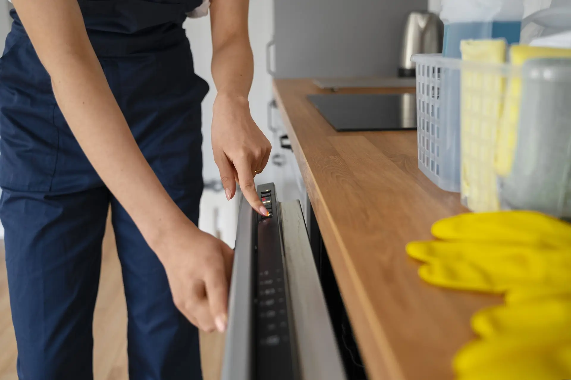 Professional House Cleaning