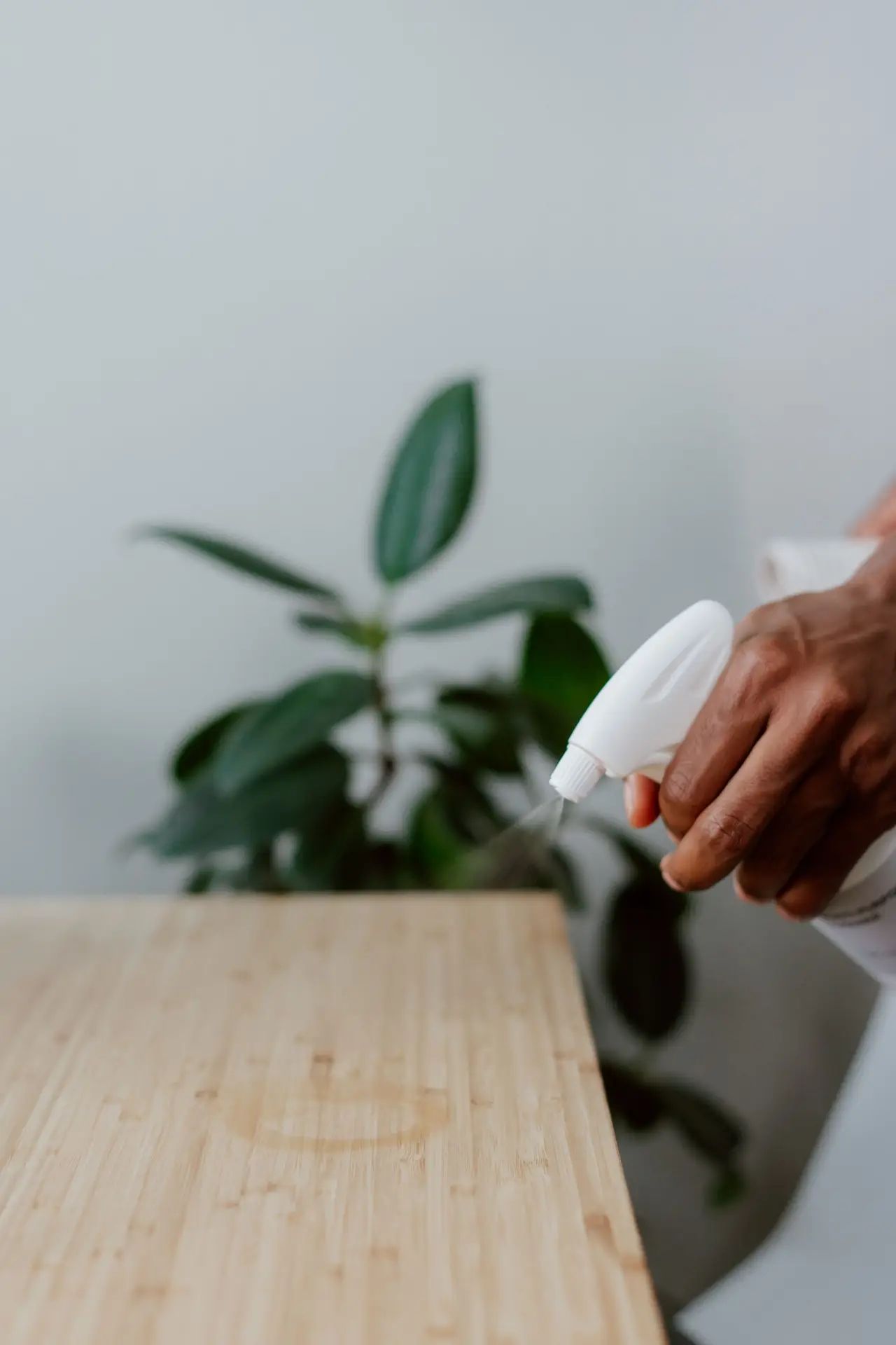 Hand spraying eco friendly cleaning product on a surface in a Downtown Dallas home